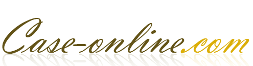 logo case-online.com